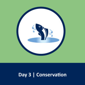 Water Wednesday Day 3 Conservation